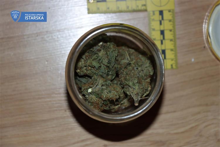 Slika /2023/droga marihuana pazin .jpg